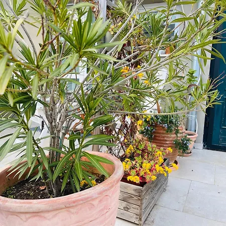 I Smrikve Apartamento Pula