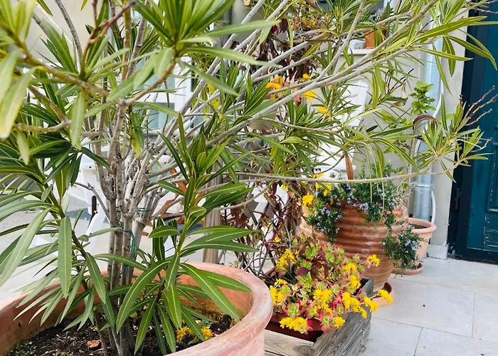 I Smrikve Apartamento Pula