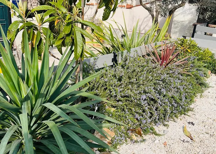 Lägenhet I Smrikve Pula